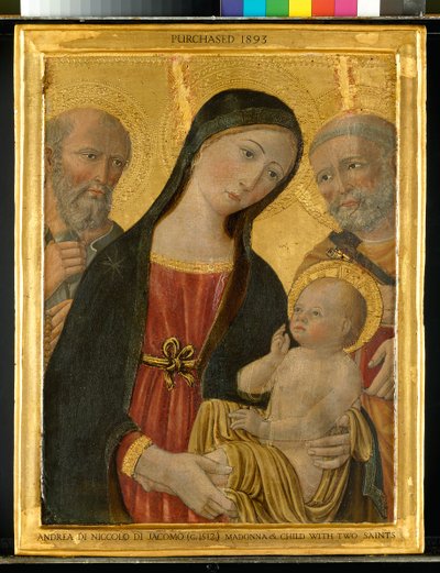 Jungfrau und Kind zwischen St. Hieronymus und St. Peter, um 1500 von Niccolo di Giacomo